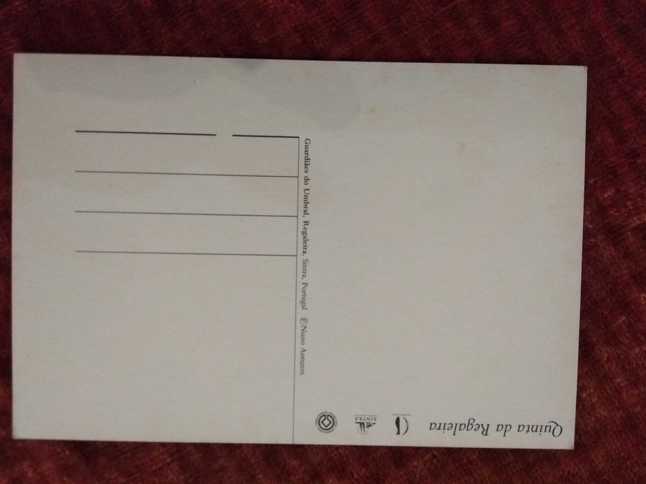 Postal Quinta da Regaleira Sintra Palácio da Regaleira Poço Iniciático