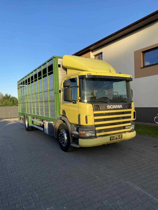 Scania p 260 do przewozu zwierząt bydła żywca waga zabudowa