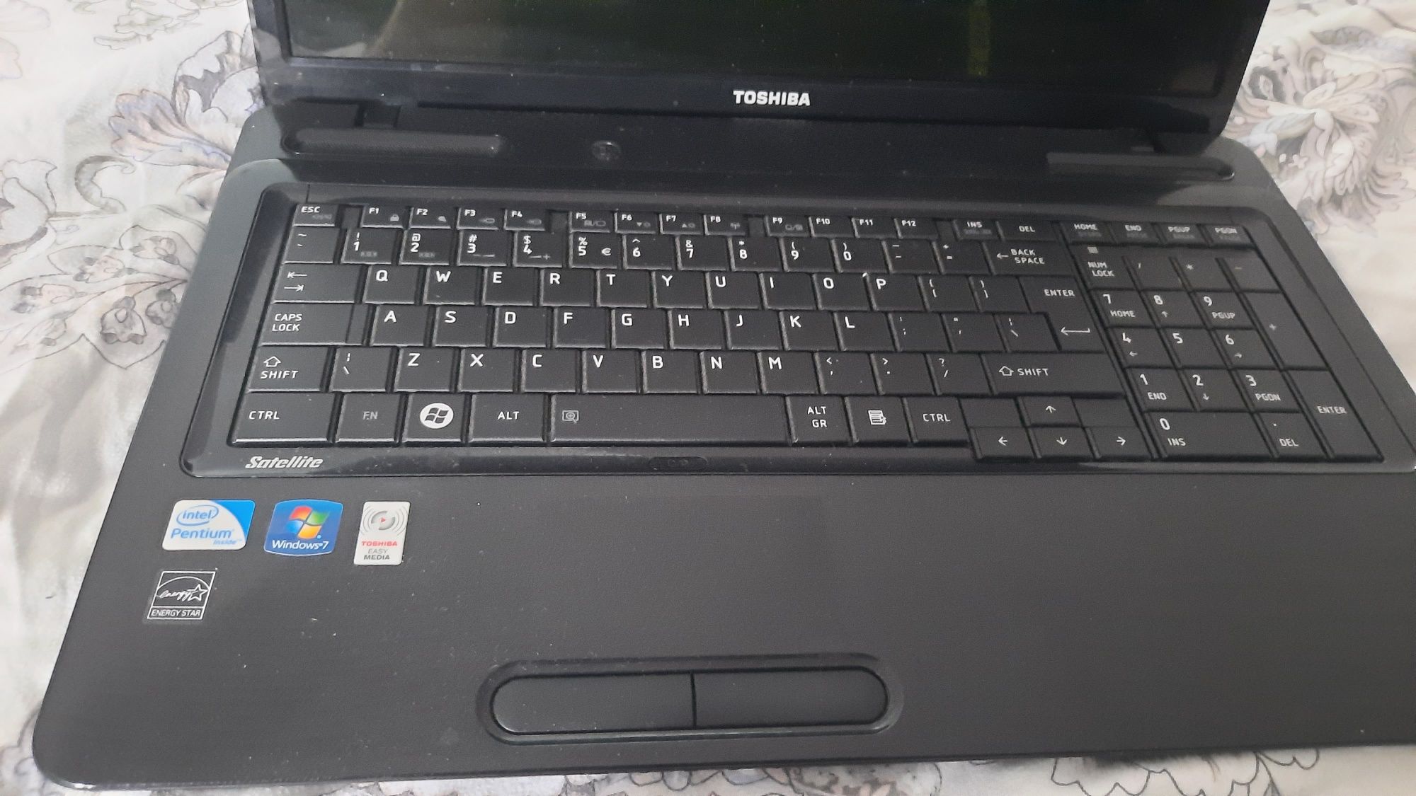 Toshiba L670-10N