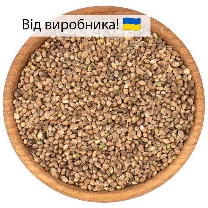 Насіння коноплі неочищене | Гурт від виробника | Для олії, віджиму