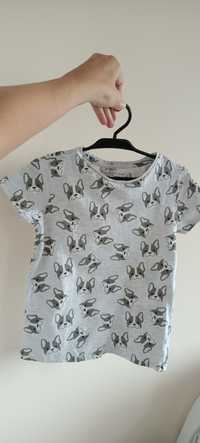 Bluzka koszulka t& shirt piesek pieski sinsay fox&bunny r.98-104.