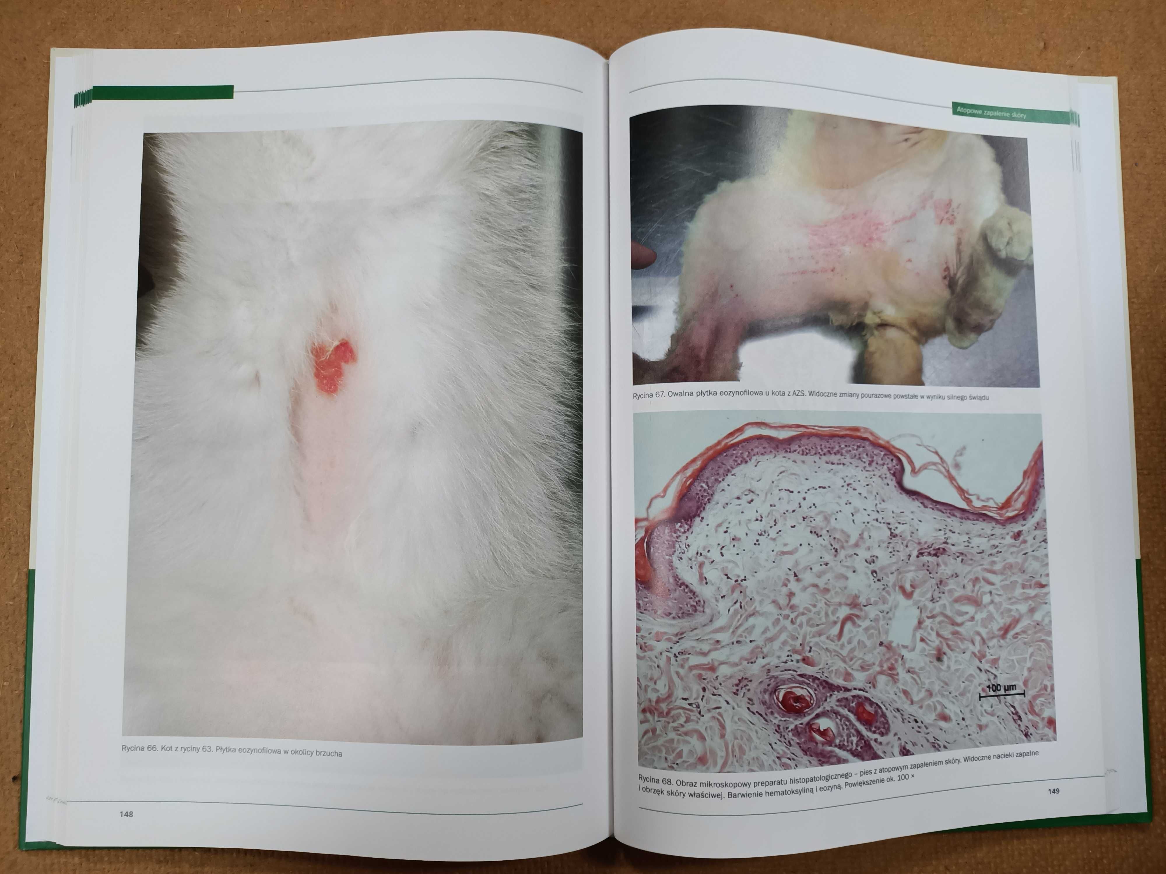 Atlas dermatologiczny psów i kotów, tom I