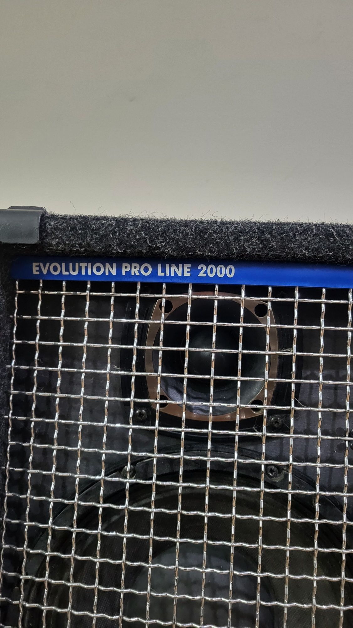 Kolumna basowa  EBS 210 EVOLUTION PRO LINE  2000