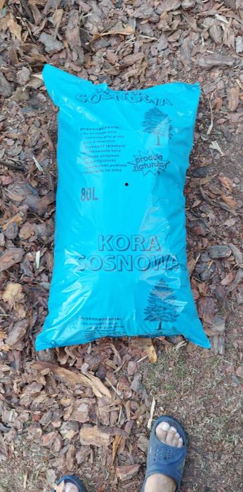 Kora sosnowa worki 80l