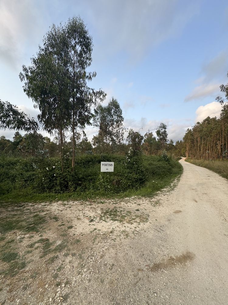 Terreno rustico 10000m2 com 3 frentes