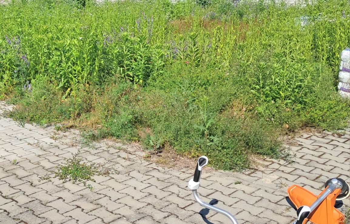 Pielęgnacja ogrodów koszenie trawy