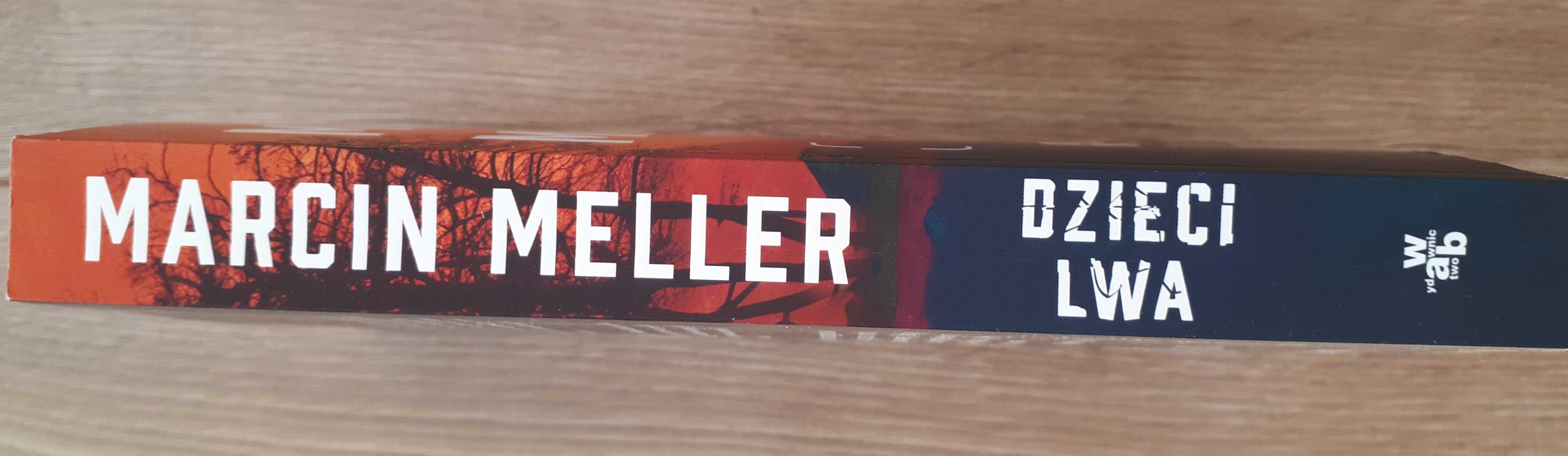 "Dzieci lwa" Marcin Meller, powieść sensacyjno-przygodowa