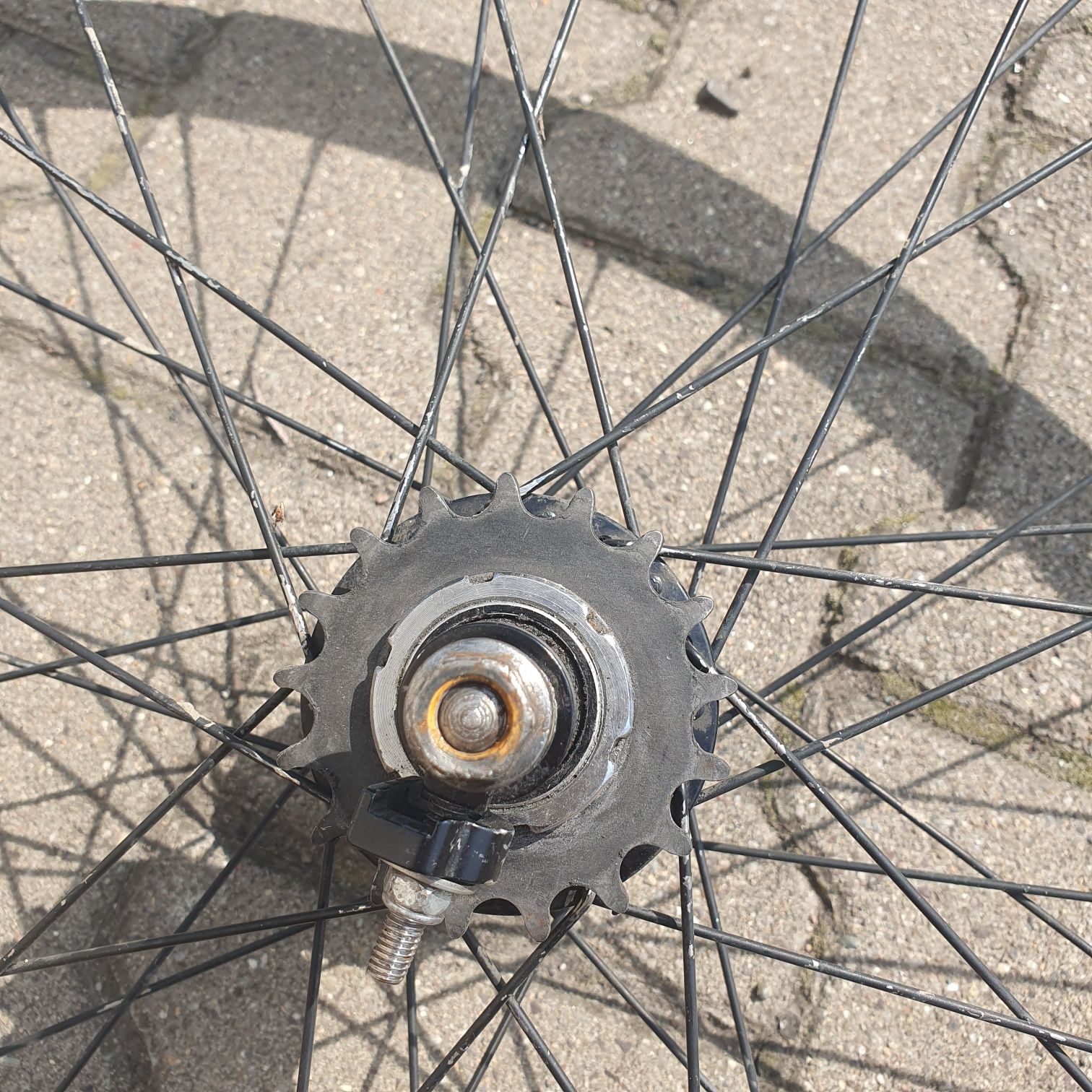 Koło tylne single speed/ostre koło 700x24c