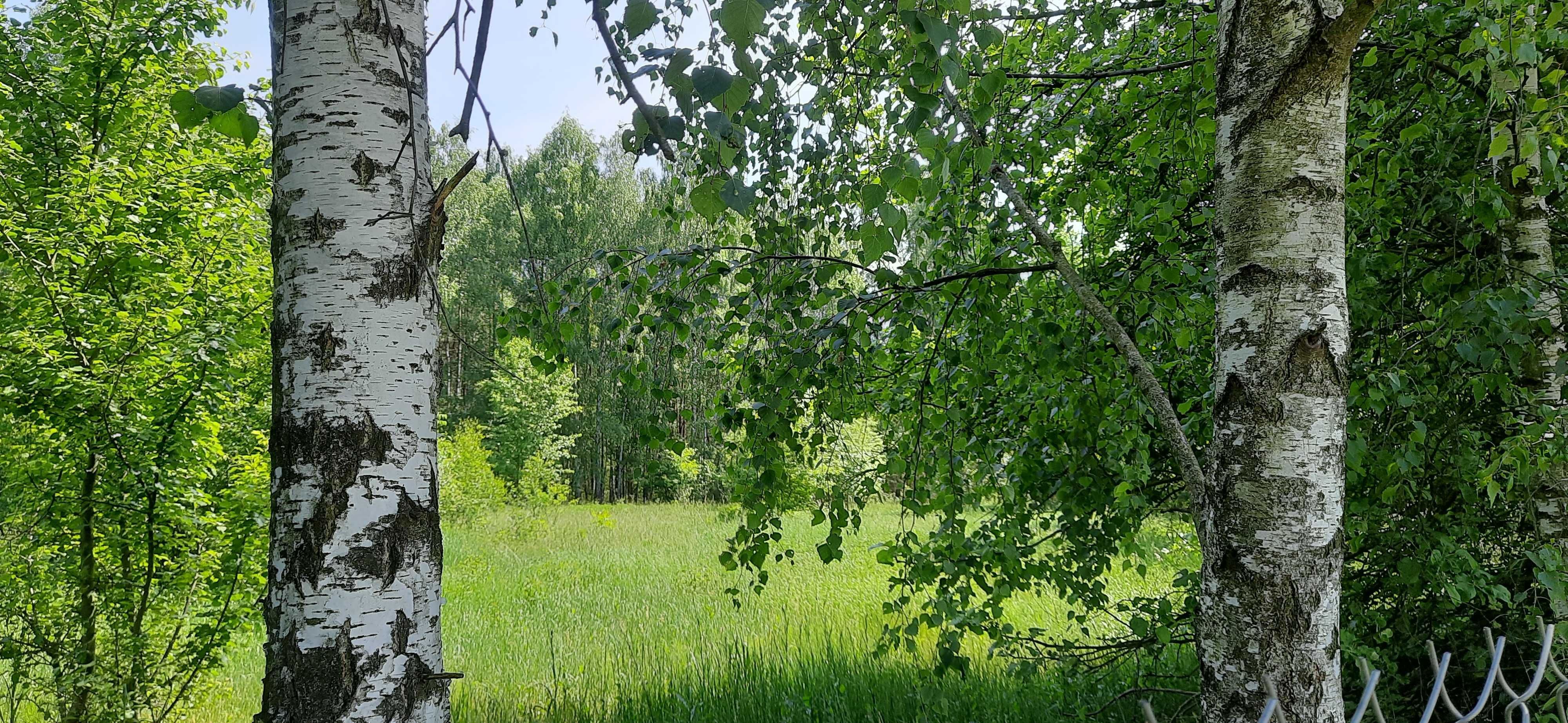 Sprzedam cztery działki budowlane po ok. 3250 m2, Góry pow. ostrołęcki