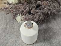 SYGNET 585 5.24G R20