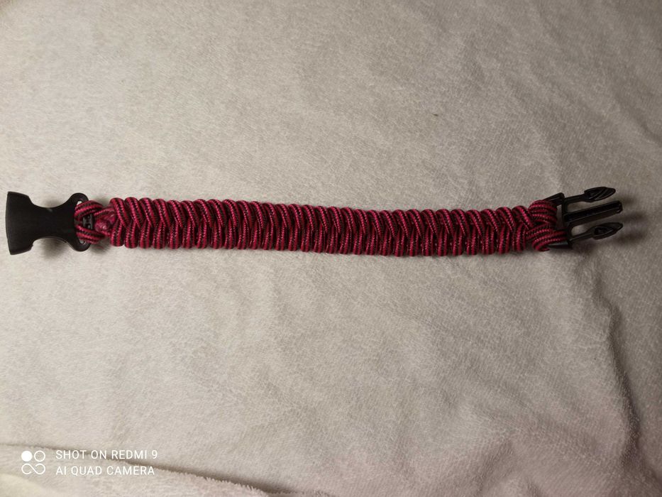 Ошейники для собак и кошек