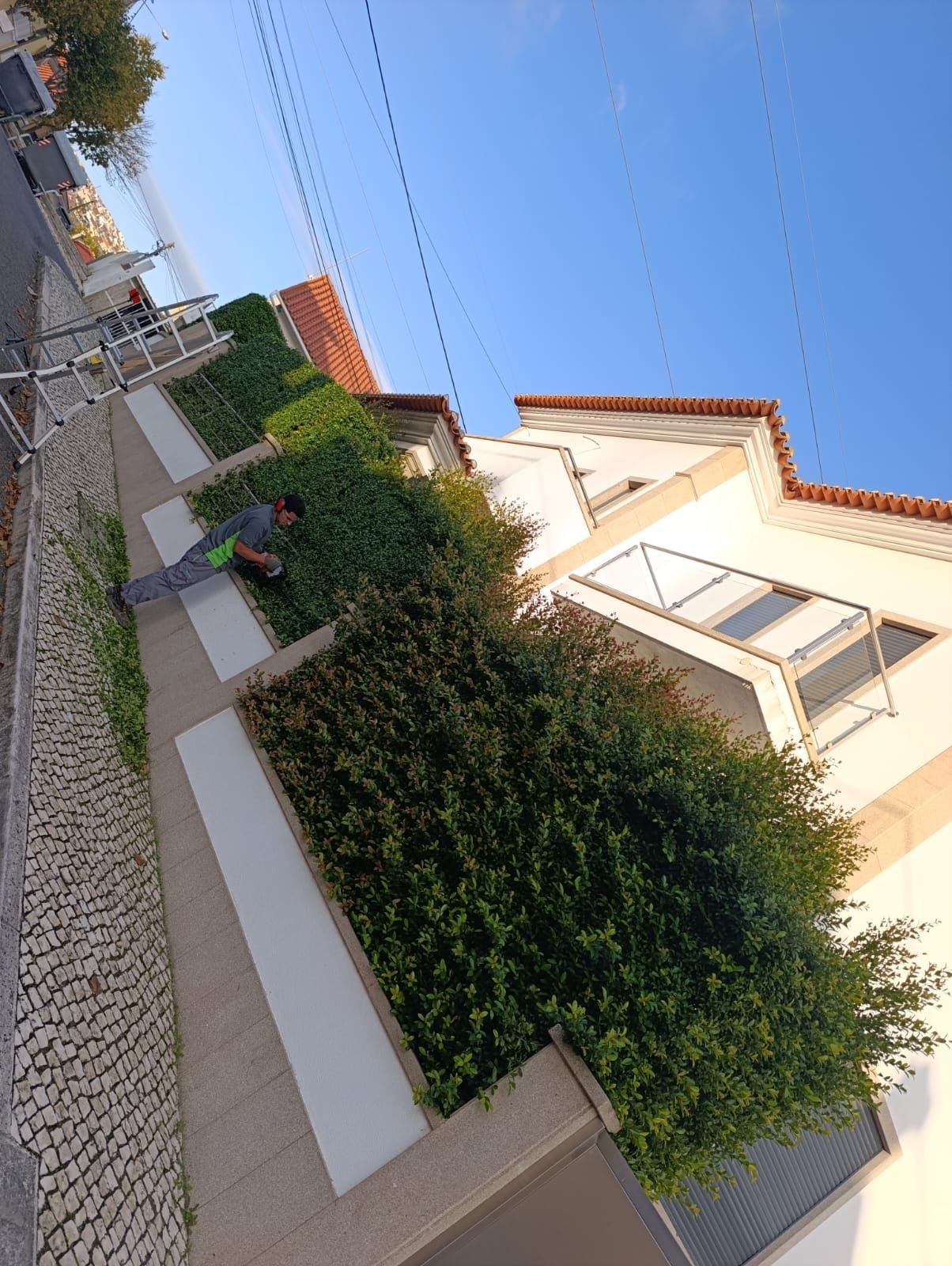 Manutenção de jardim