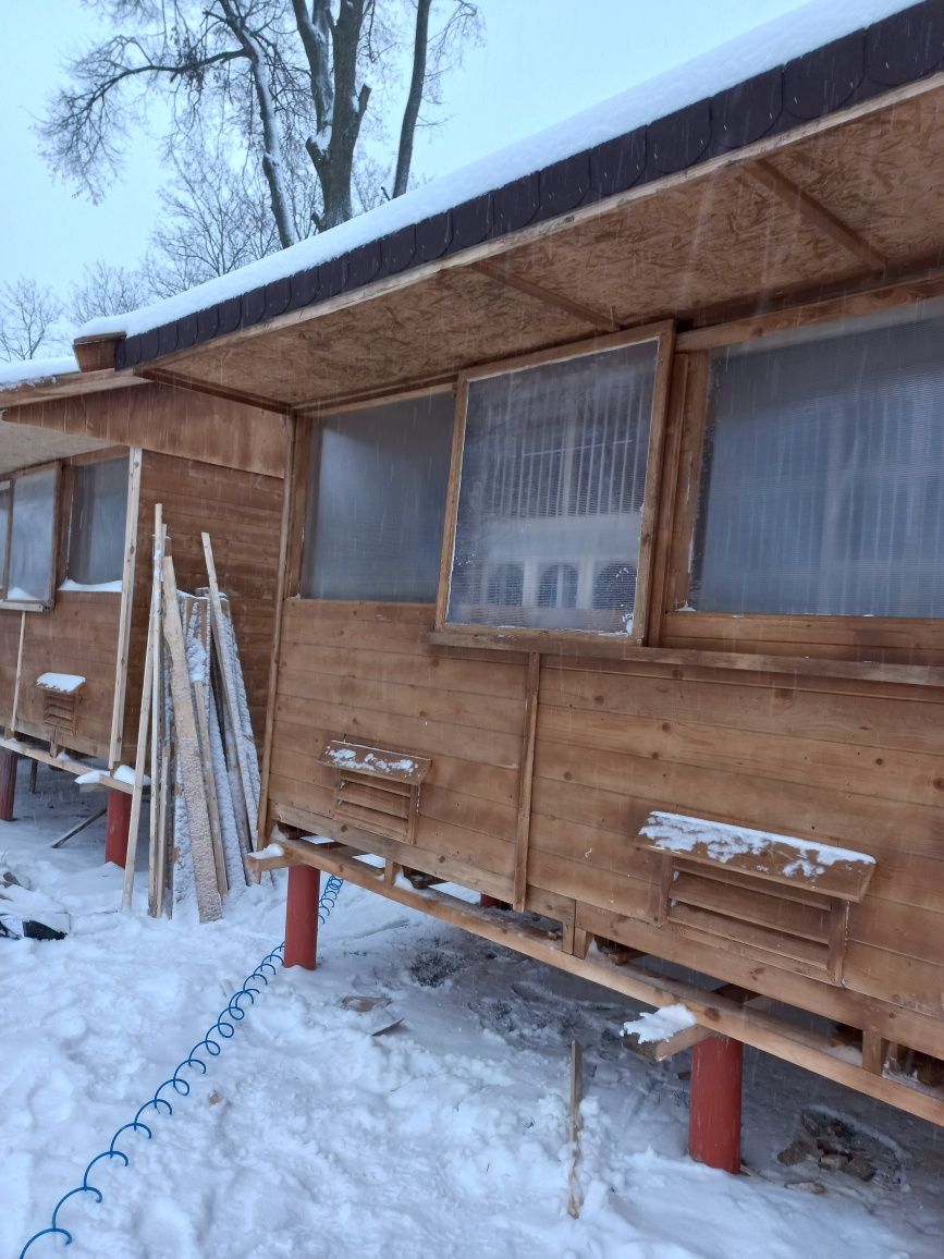 Golebnik wolnstojacy