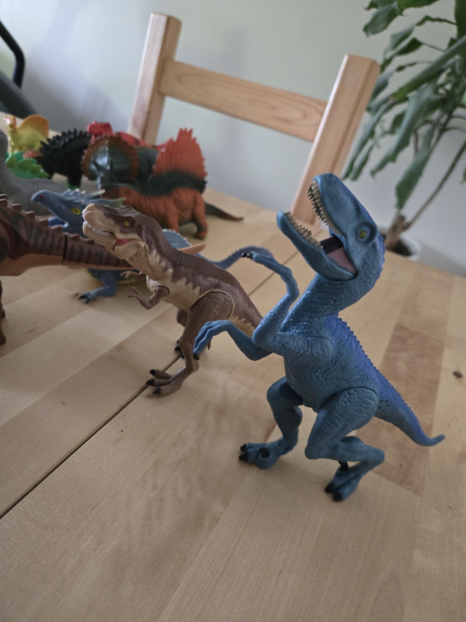 Zestaw dinozaurów.