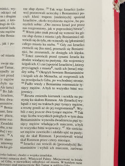 Biblia stan bardzo dobry