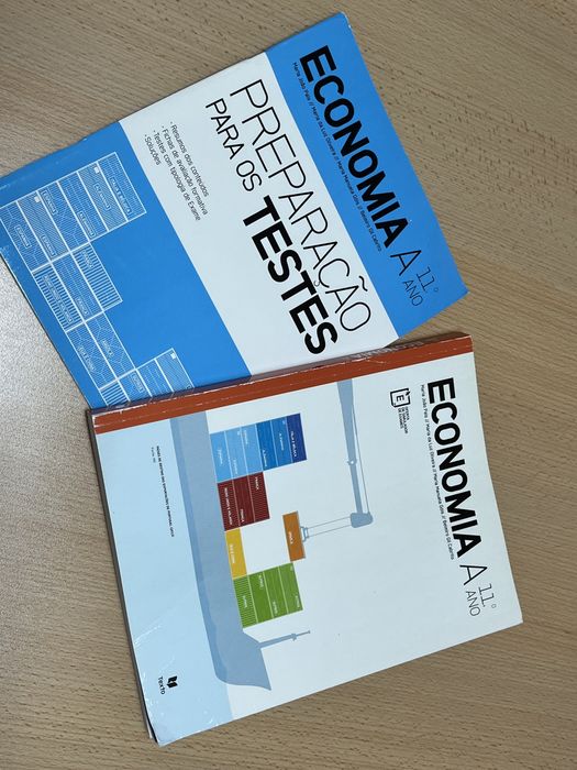Economia 11.º ano