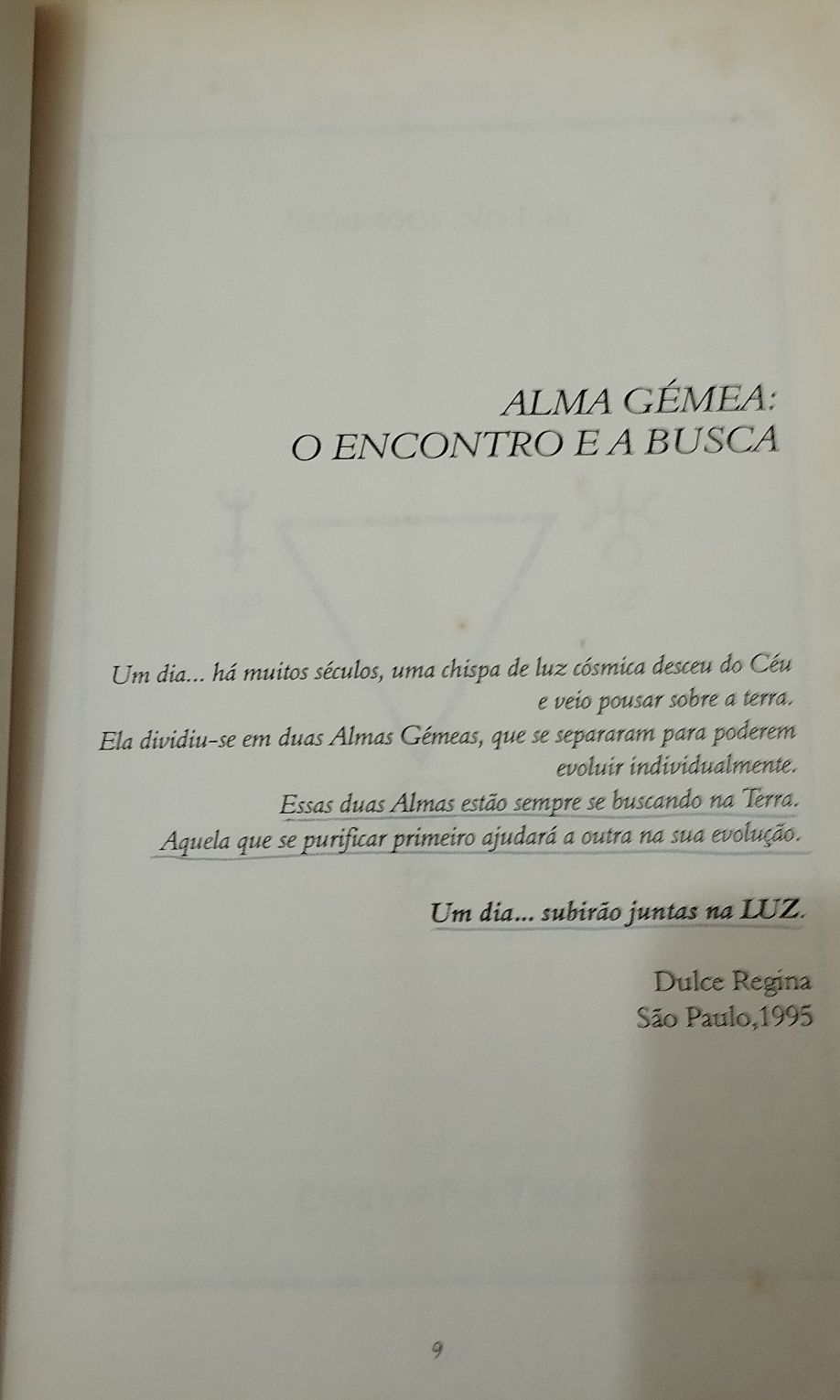 Alma Gémea - O encontro e a busca