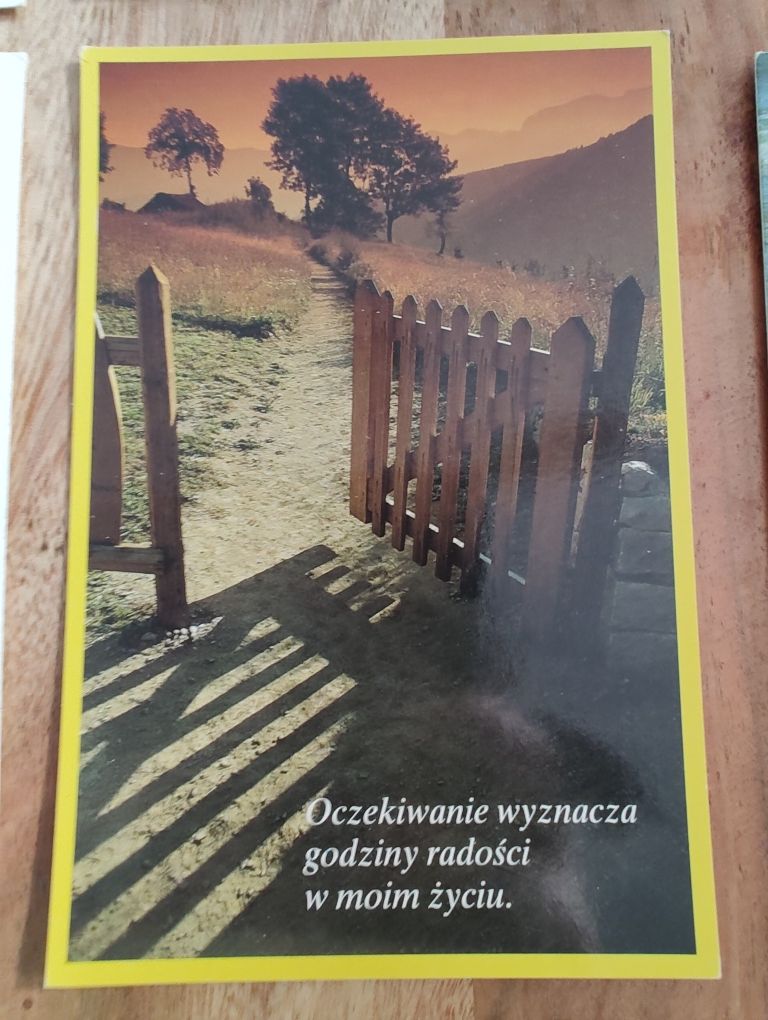 5 pocztówek i 1 kartka pocztowa z aforyzmami vintage