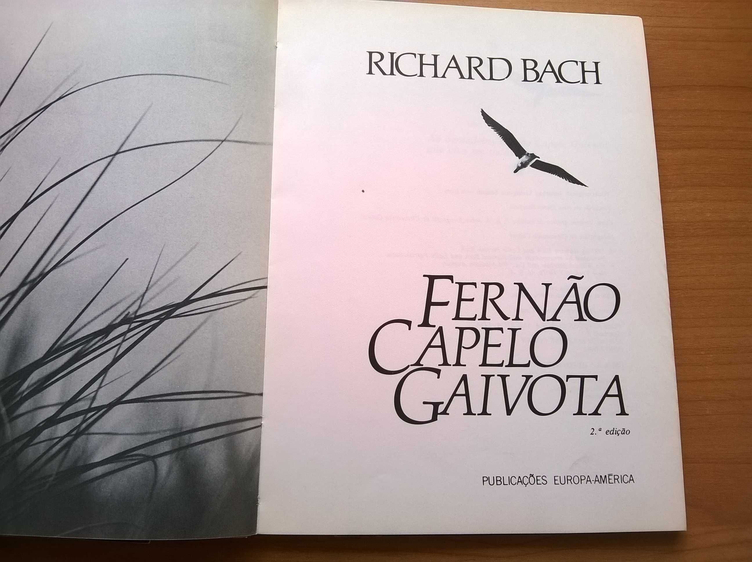 Fernão Capelo Gaivota - Richard Bach