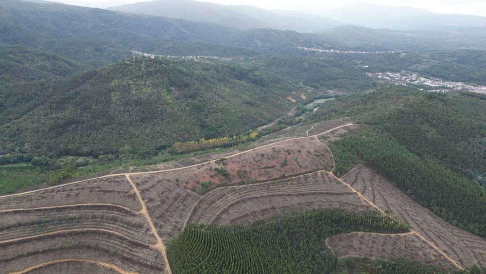 Oportunidade! Terreno Legalizado com Potencial de Construção – Arganil