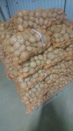 Ziemniaki jadalne vineta