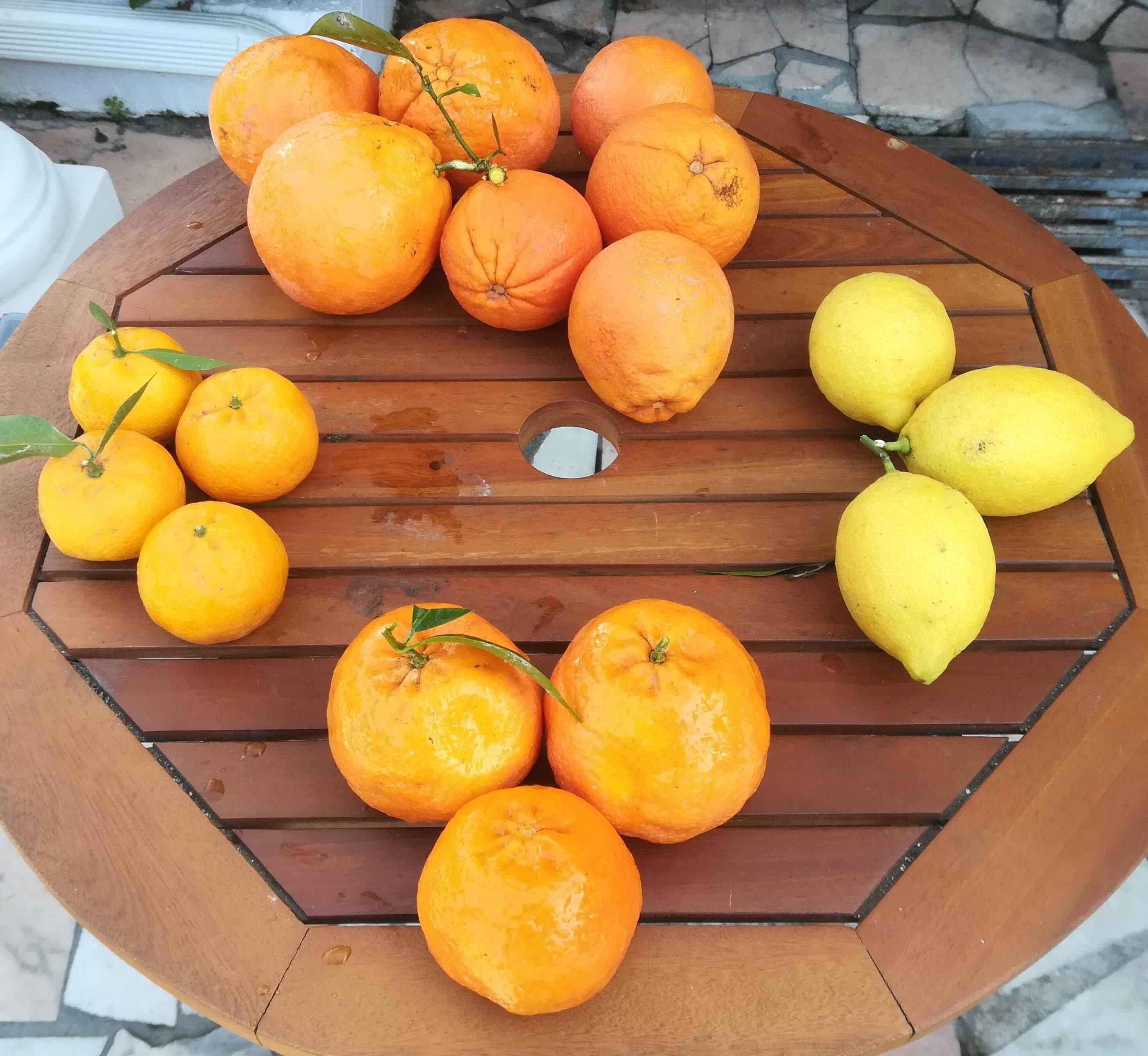 Vende se Fruta (romã / laranjas / tangerinas / clementina)