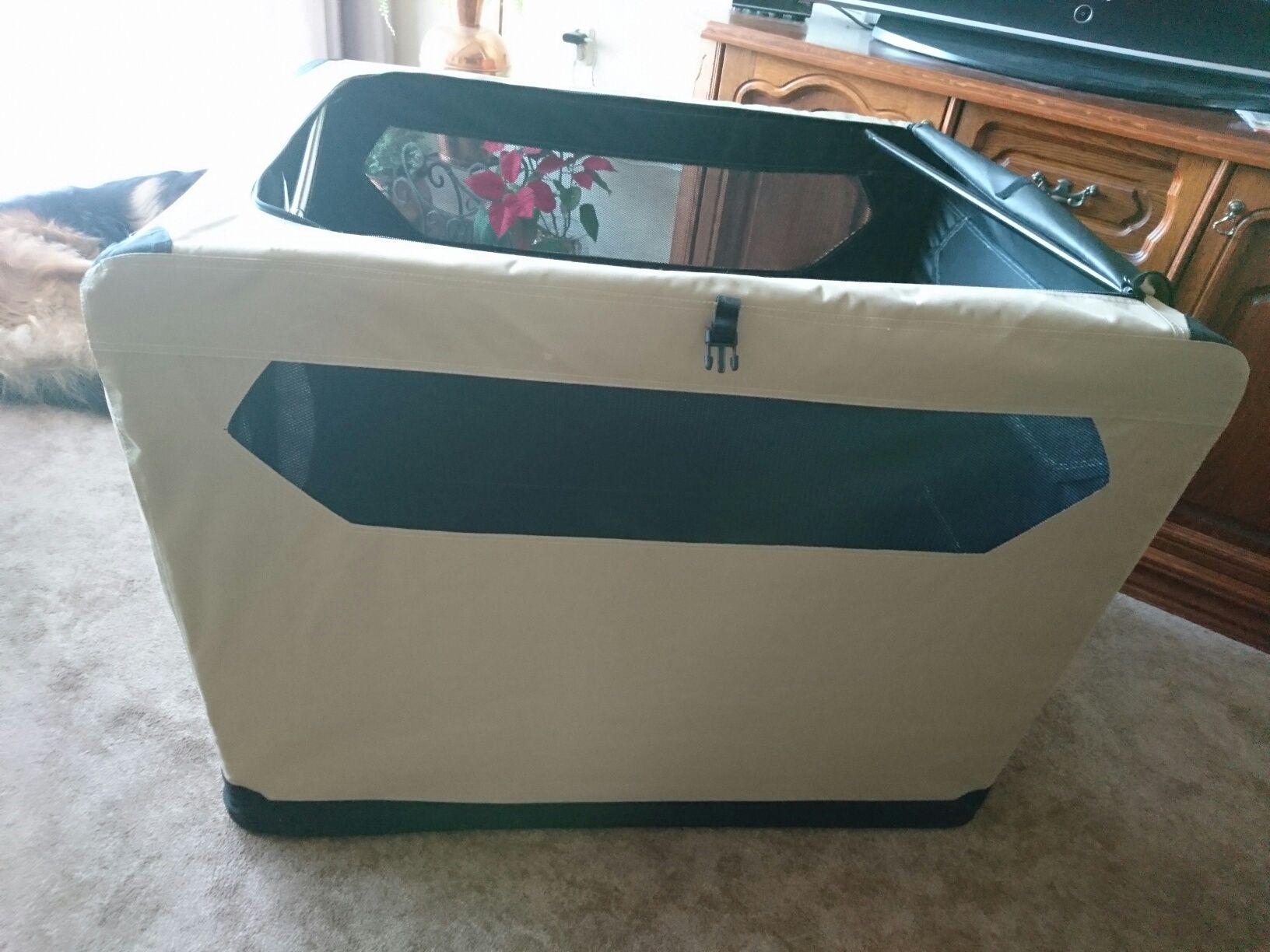 Transporter xxxl dla psa,  transporter 4 XL  nowy