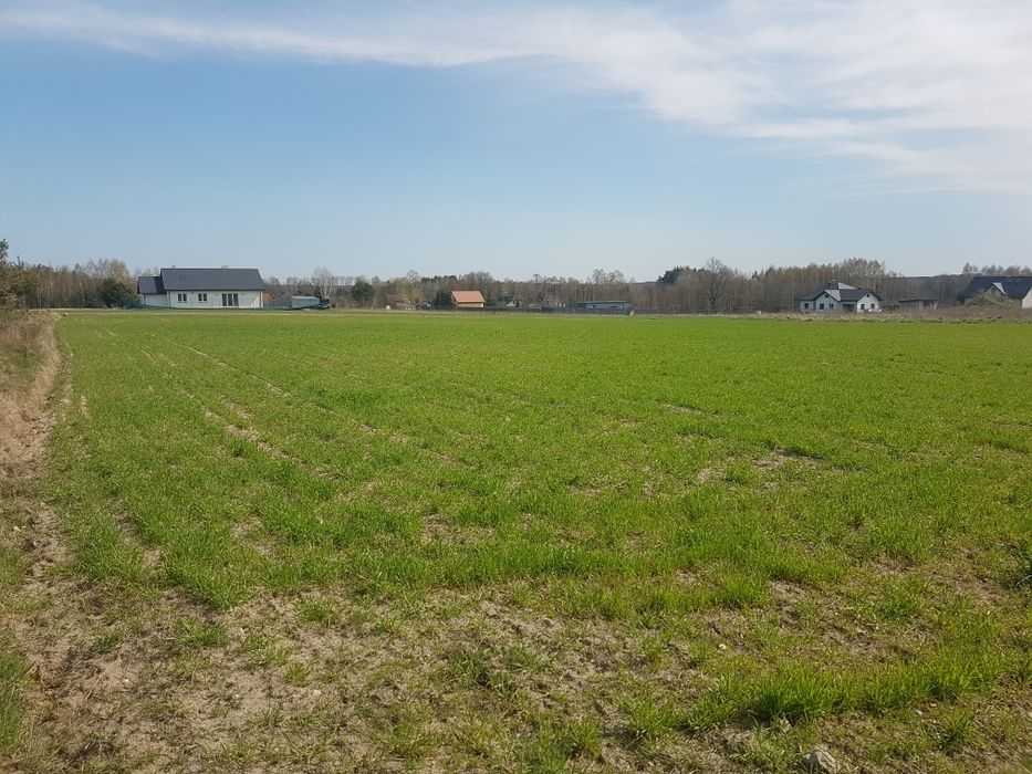 Działki budowlane Postękalice