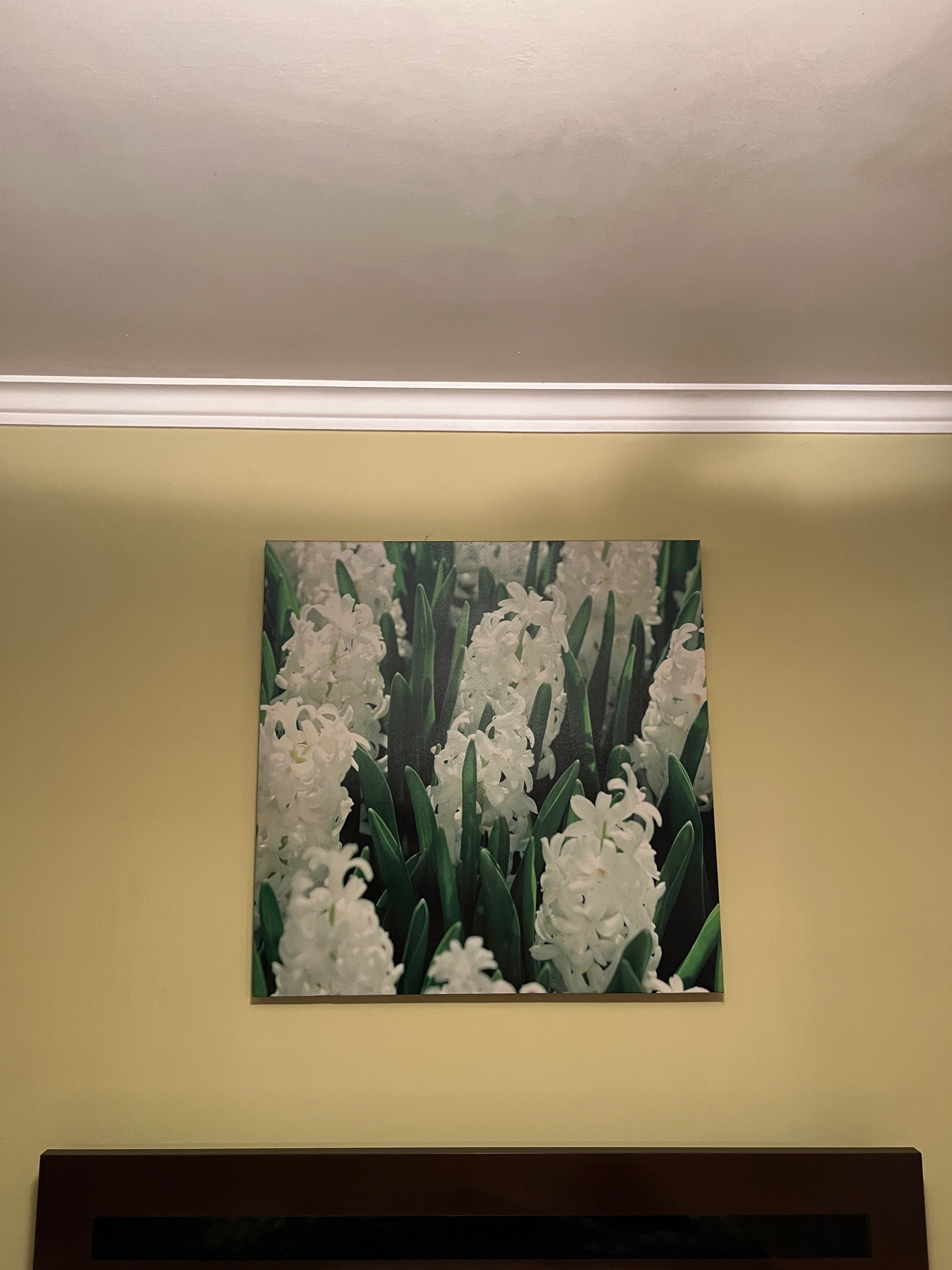 Conjunto de 3 quadros decorativos