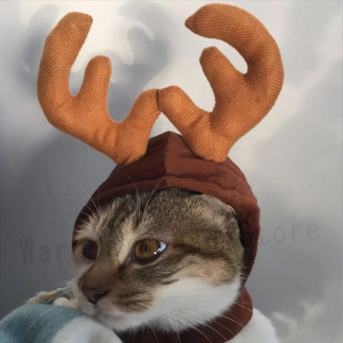 Fatos de natal para cão ou gato