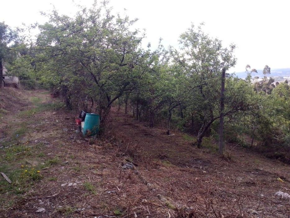 Terreno em Recarei Paredes