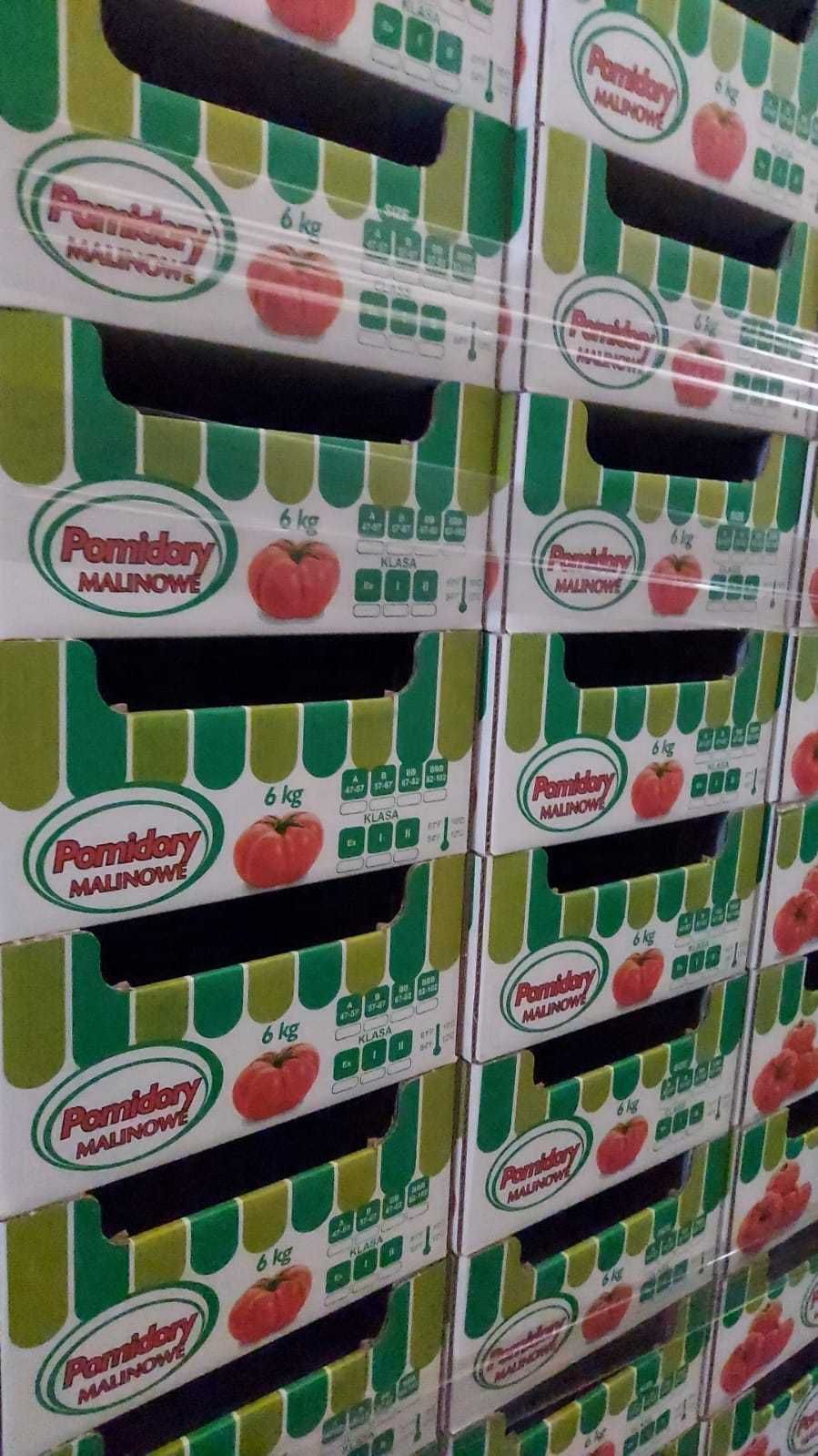 karton opakowanie pudełko 40x60 pomidor