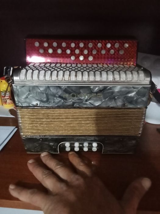 Mini concertina verdadeira
