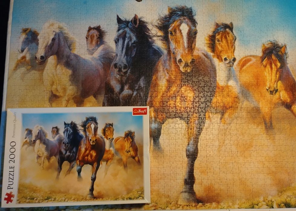Puzzle 2000 el. Trefl Quality Premium Stado galopujących koni