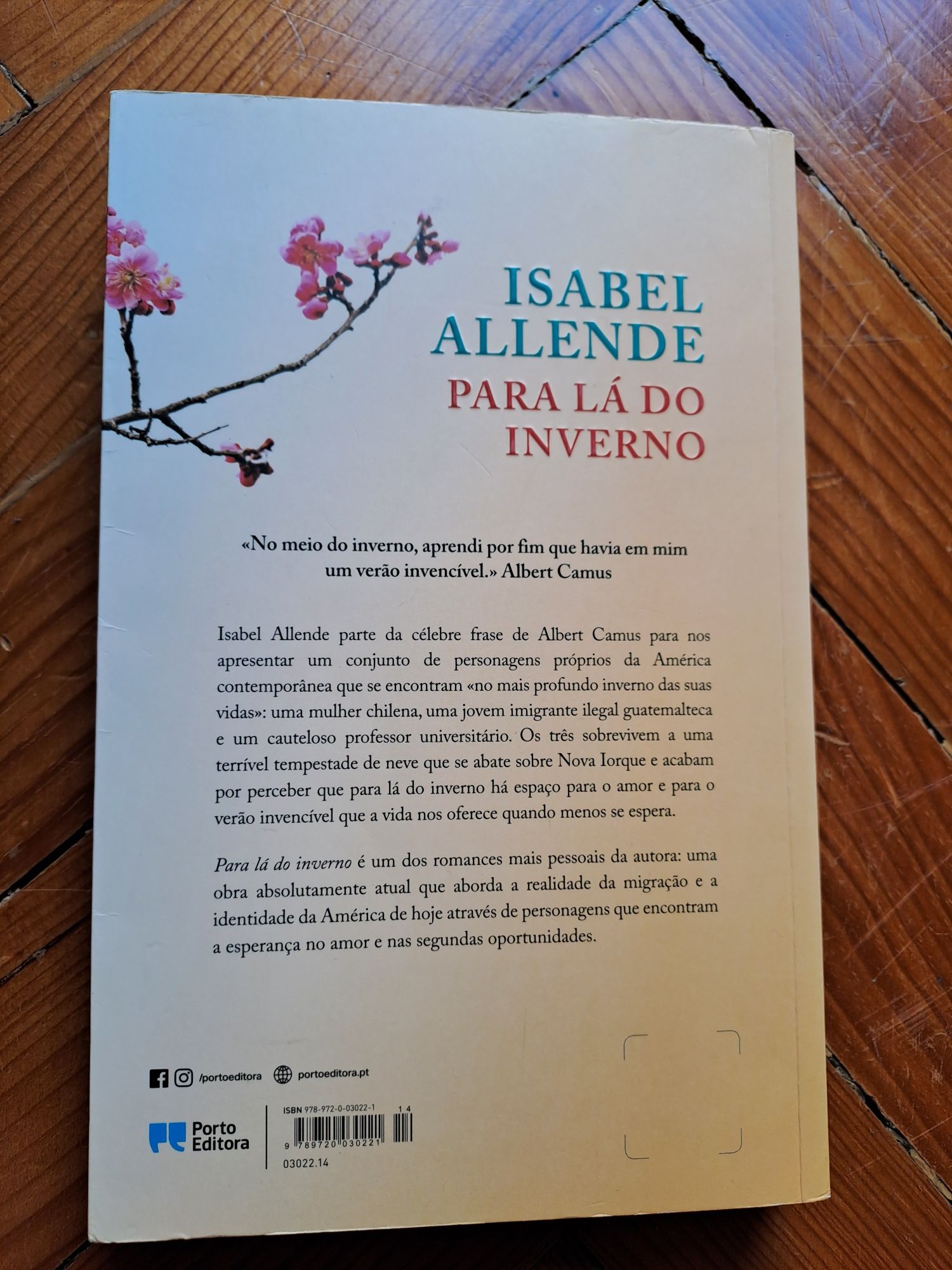 Para lá do Inverno - Isabel Allende
