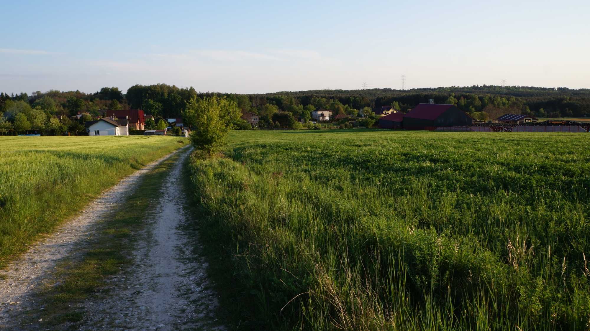 Działka budowlano rolna w Zaborzu wśród lasów i polan