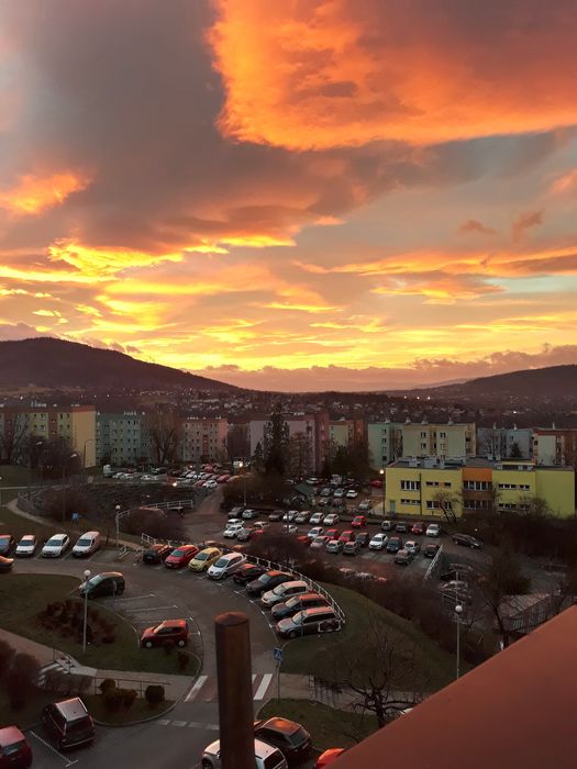 Kawalerka wynajem zlote lany