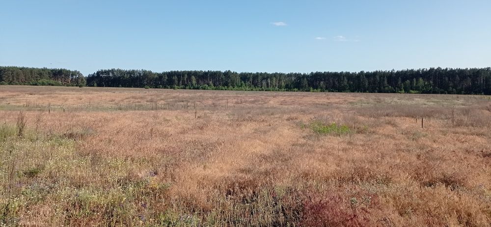 Земельна ділянка під будівництво