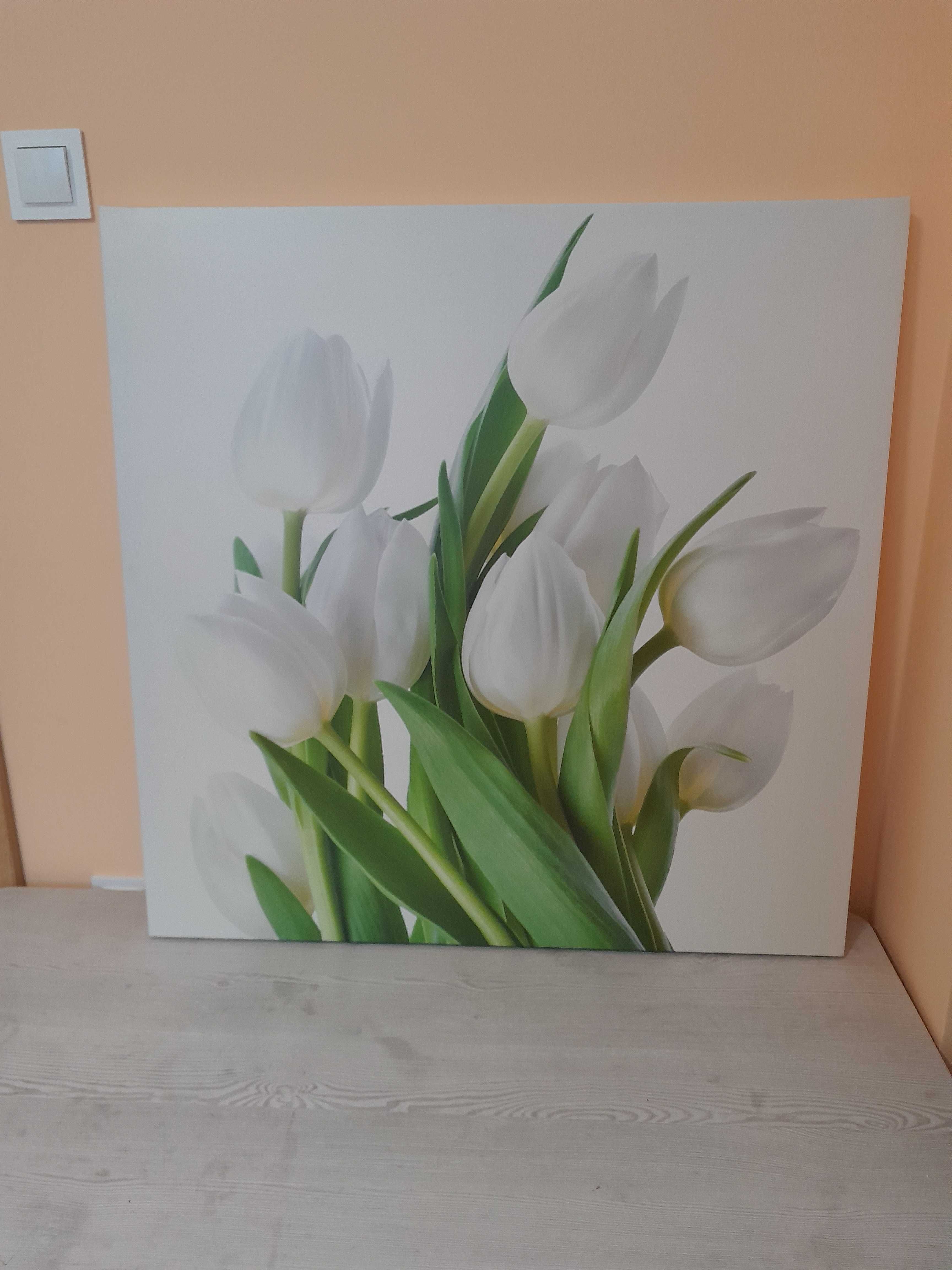 Obraz drukowany na płótnie 80x80 - tulipany