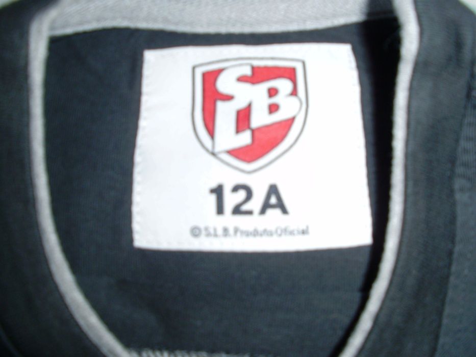 T-shirt criança do Benfica - oficial - 12 anos