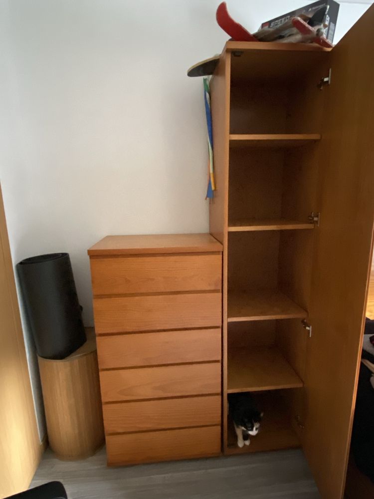 estudio de quarto