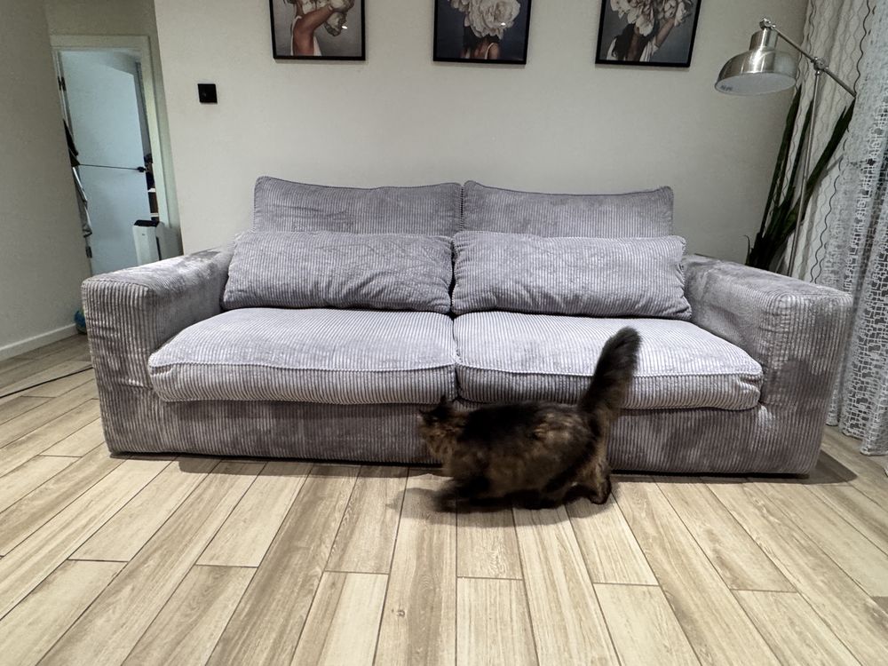 Sofa Coast włoska Agio Divani sztruks, poso, lincoln. Miekka wygodna