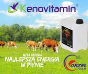 Energia dla krów MegaEnergia 5w1 najsmaczniejsza gliceryna glikol