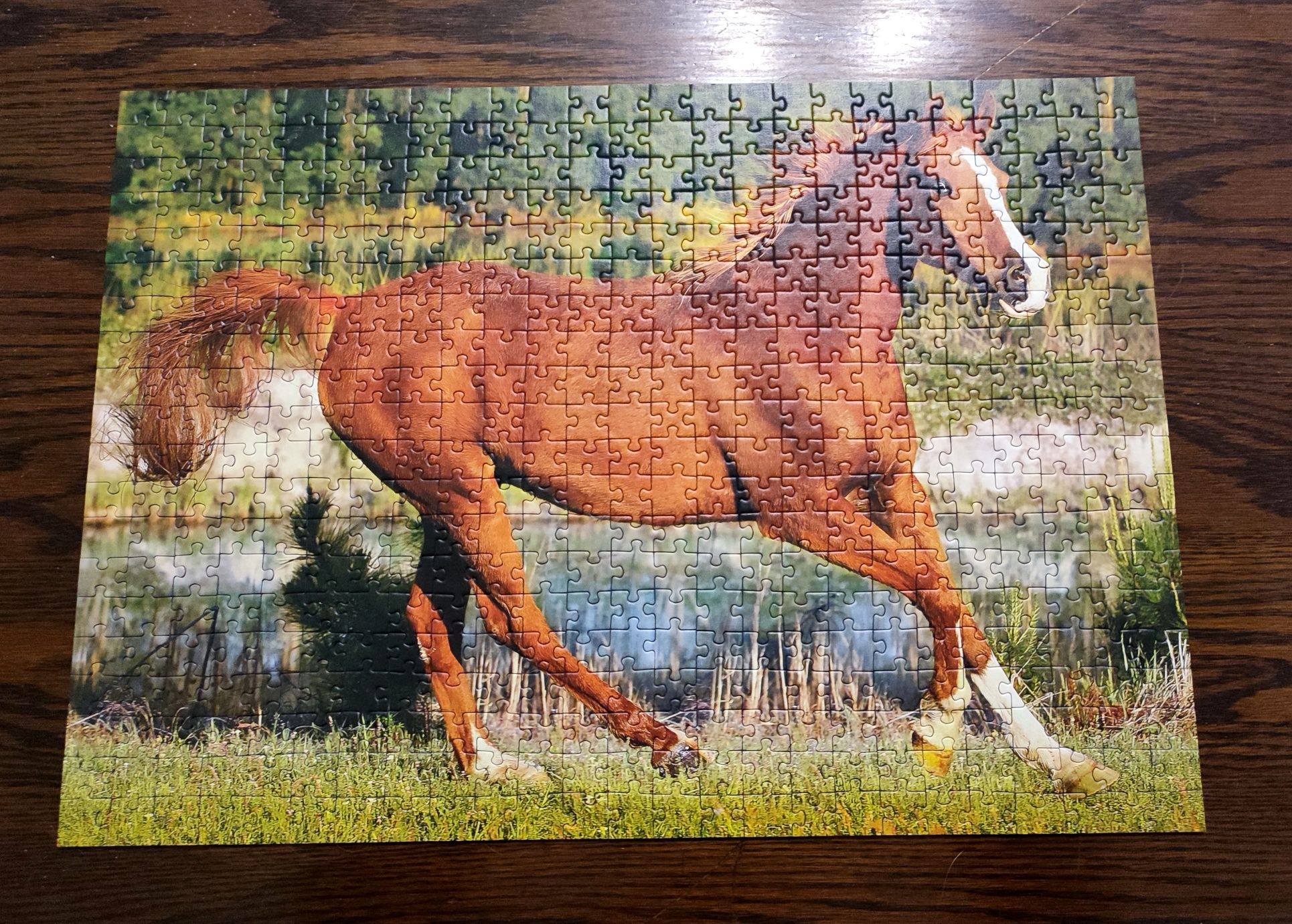 Puzzle trefl 500 elementów - Piękno galopu Koń - wzór nr 37184