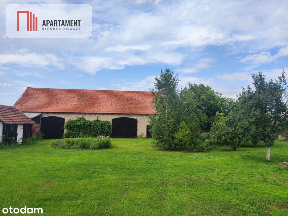 Działka rolna z dużą stodołą.