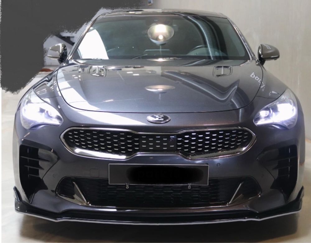Kia Stinger 2.2 CRDI GT line (full extras)