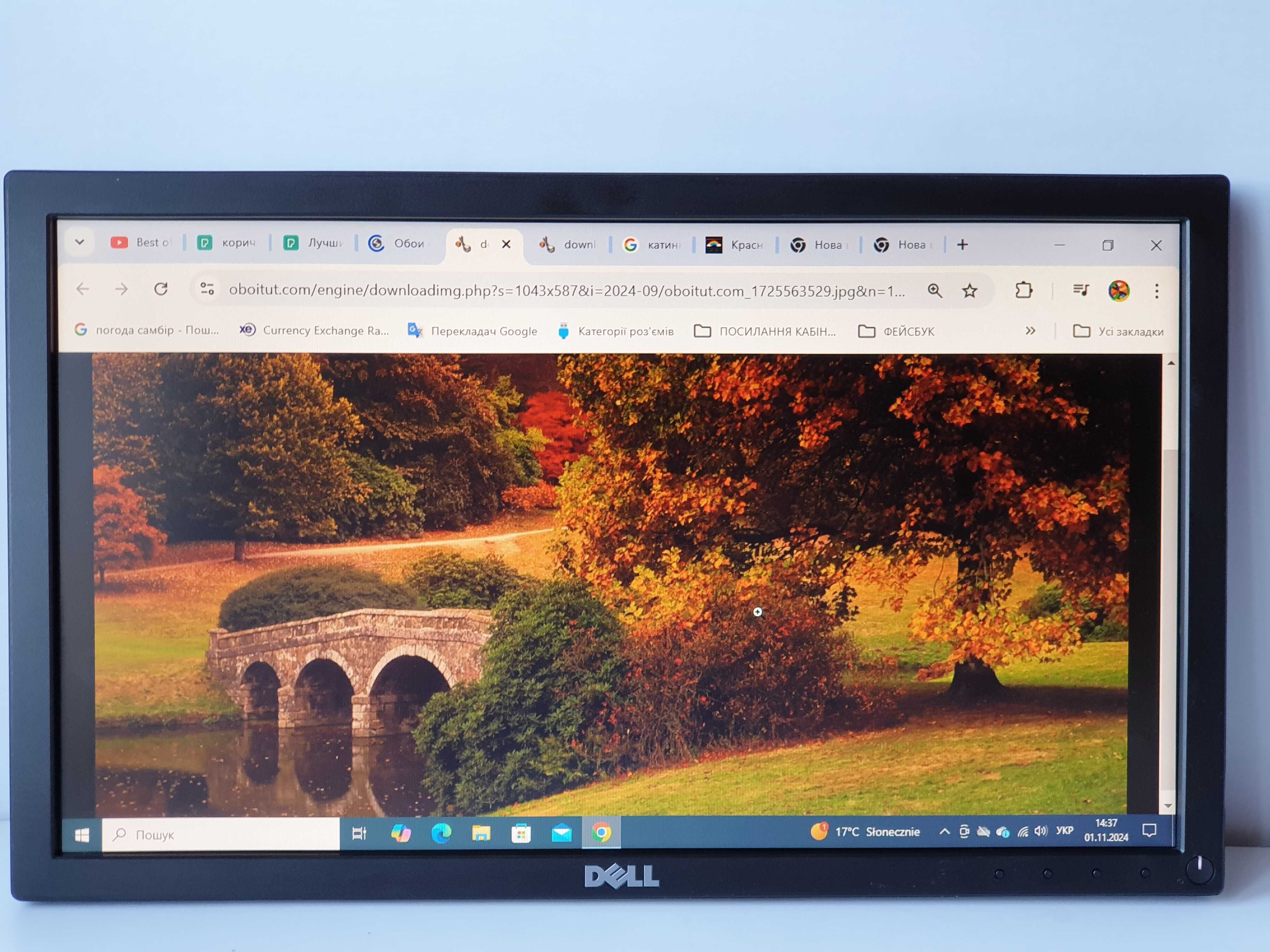 Монітор 19" Dell E1916He + комплект displayport /VGA