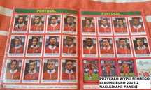 Naklejki Panini do albumu z EURO 2012