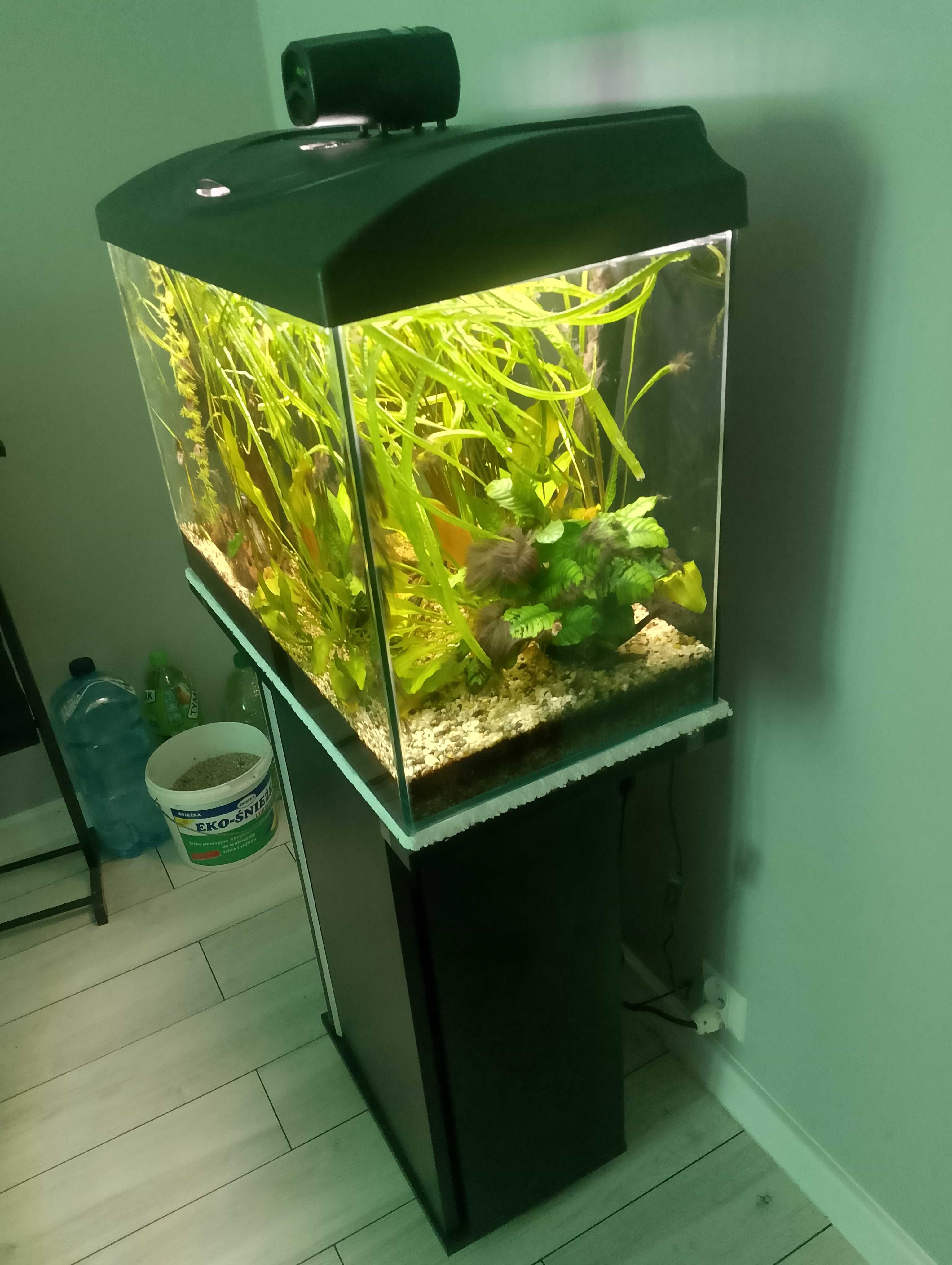 Sprzedam akwarium 60l + szafka