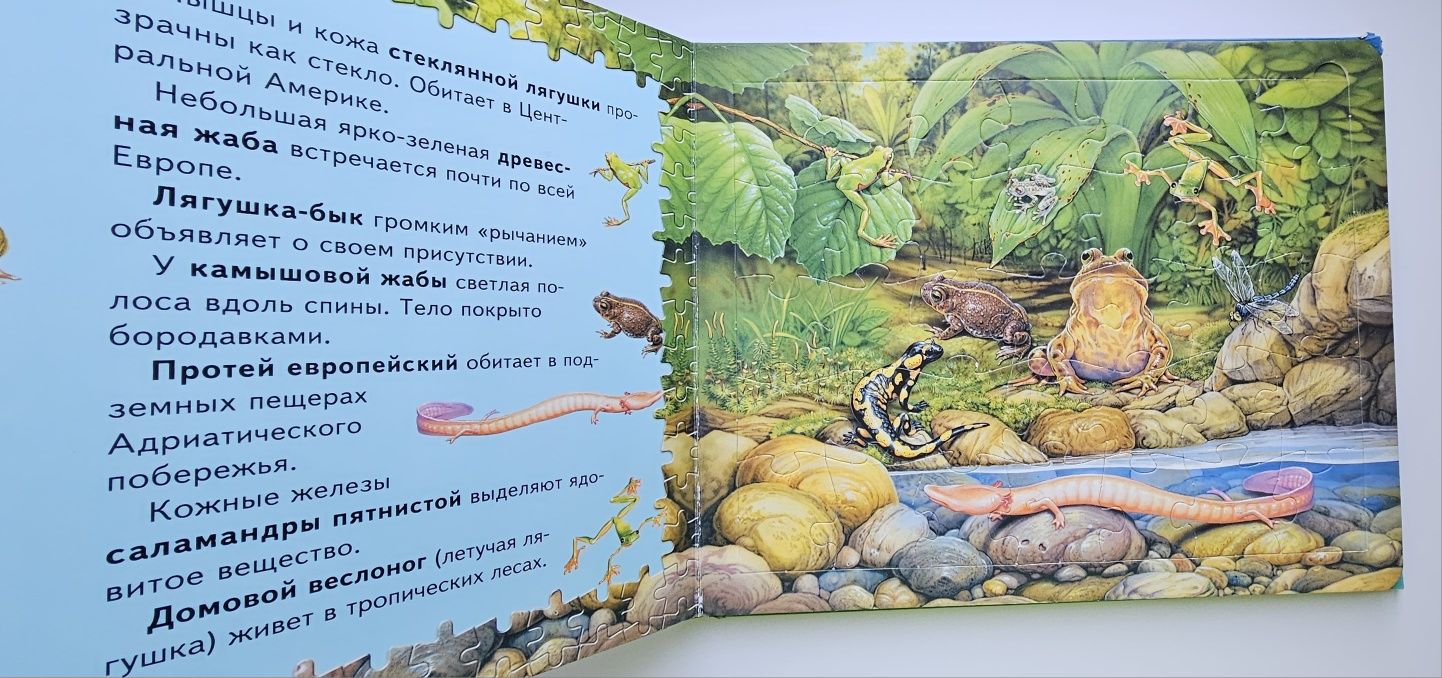 Книга с пазлами "В мире животных"